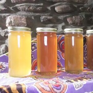 Apitherapy: Bees as Medicinal Midwives Image